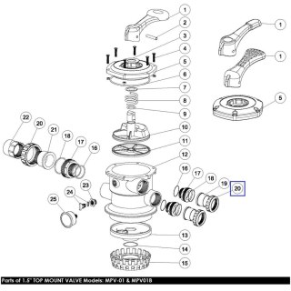 Nakrętka łącząca do pomp Emaux serii ST 1.5" (01013017) Emaux