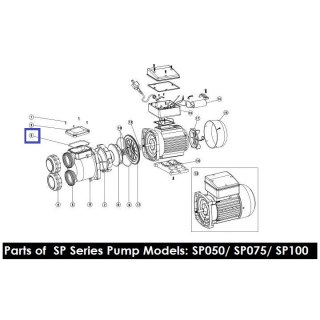 Pierścień uszczelniający Emaux pokrywy pompy SP 2011113 Emaux