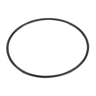 Pierścień uszczelniający do pokrywy pompy Emaux SC (02021088new/02011077) Emaux