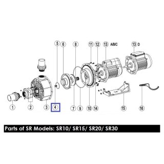 Śruba mocująca wirnik pompy Emaux (89021704/89021309), lewy gwint Emaux