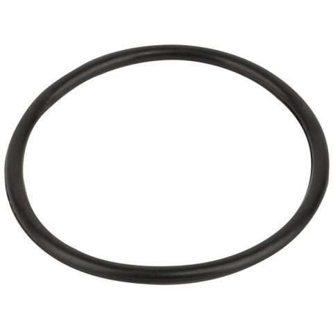 Pierścień uszczelniający Emaux do zaworu sześciodrogowego Emaux