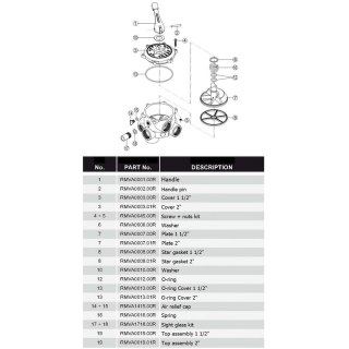 Zawór sześciodrogowy Hayward HCV275E VK6 63.B (2") boczny Hayward