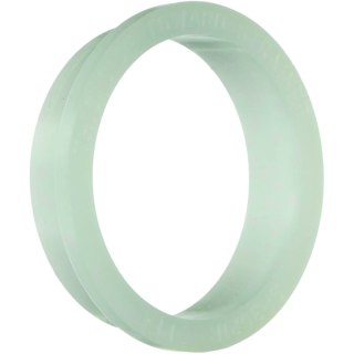 Pierścień uszczelniający pompy Hayward Tristar (SPX3021R) Hayward