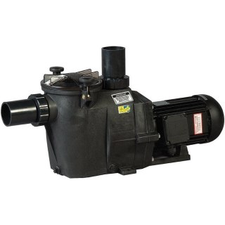 Pompa do basenu Hayward RS II RS3008EV1 (220V, 12.5 m3/h, 0.75 KM) Hayward