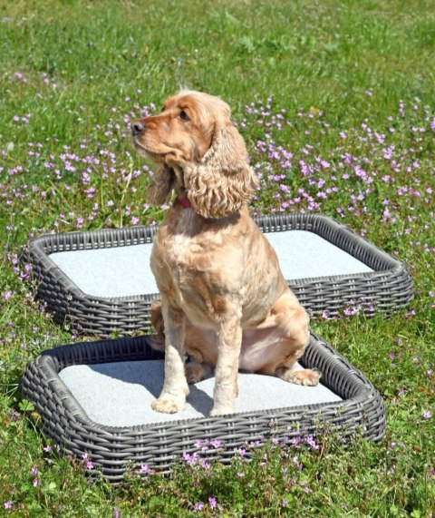 LEGOWISKO DLA PSA OGRODOWE L MAJE GREY 80X60X10CM, EKORATTAN SZARY 8MM, PODUSZKA SUNPROOF SZARY MILOO