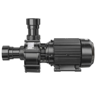BADU 21-81/33 G 230V pompa do atrakcji wodnych (80 m³/h, 3 kW, 230V) Speck