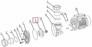 Wirnik pompy Aquaviva WP300\LP300 Aquaviva